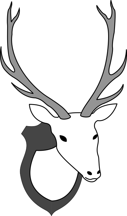 Stag